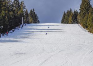 Ski Brezovica